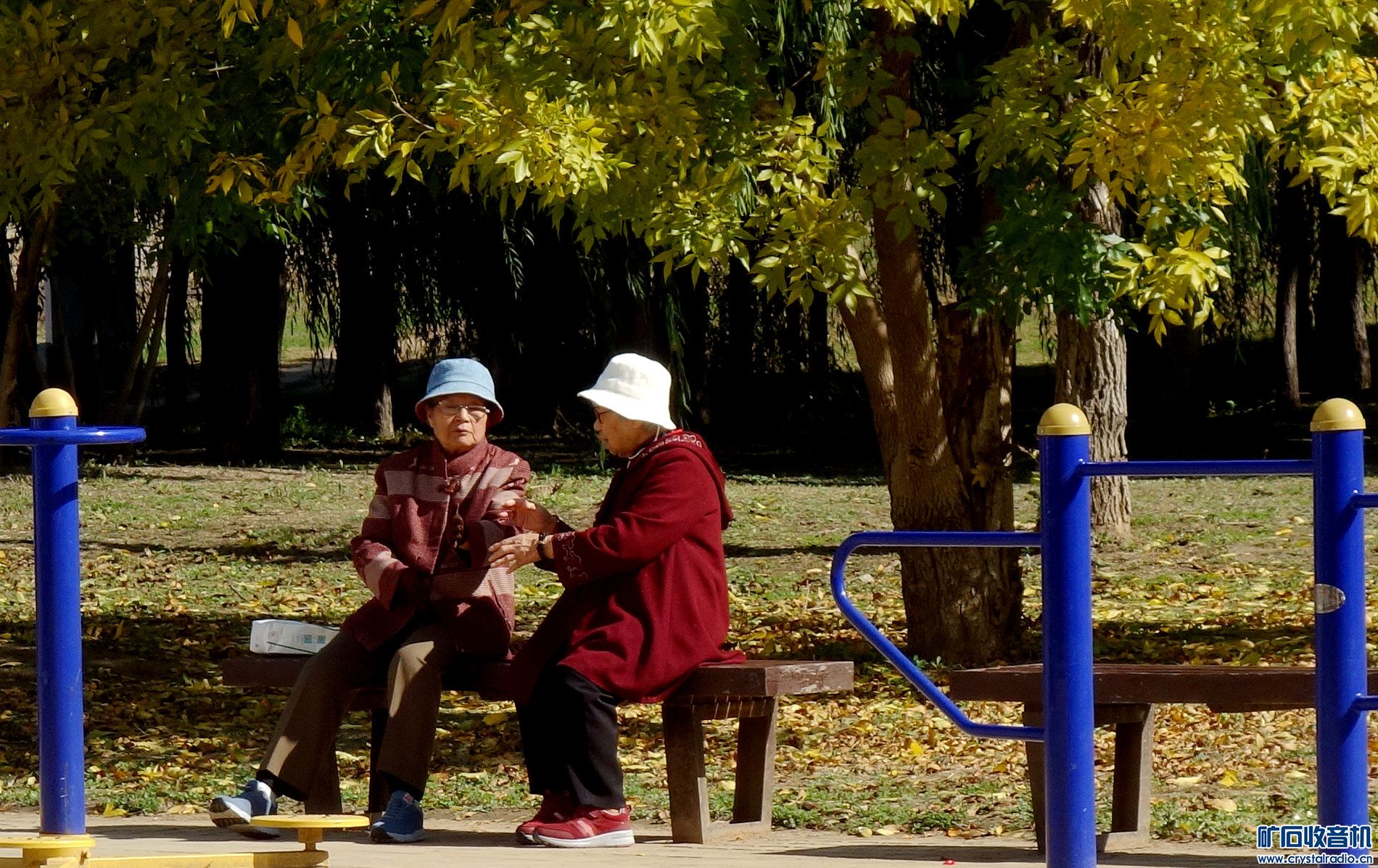DSC07532.jpg