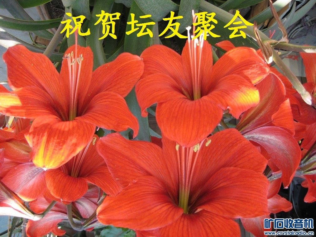 Ƭ 091.jpg