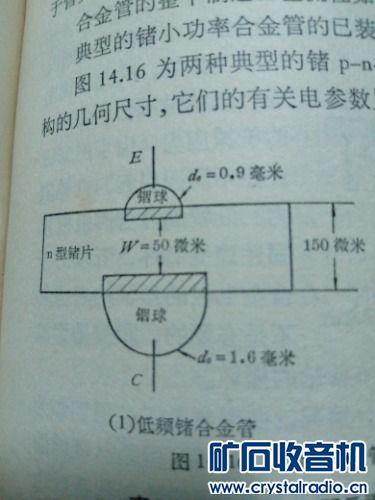 16984037532150.06707059679911065.jpg
