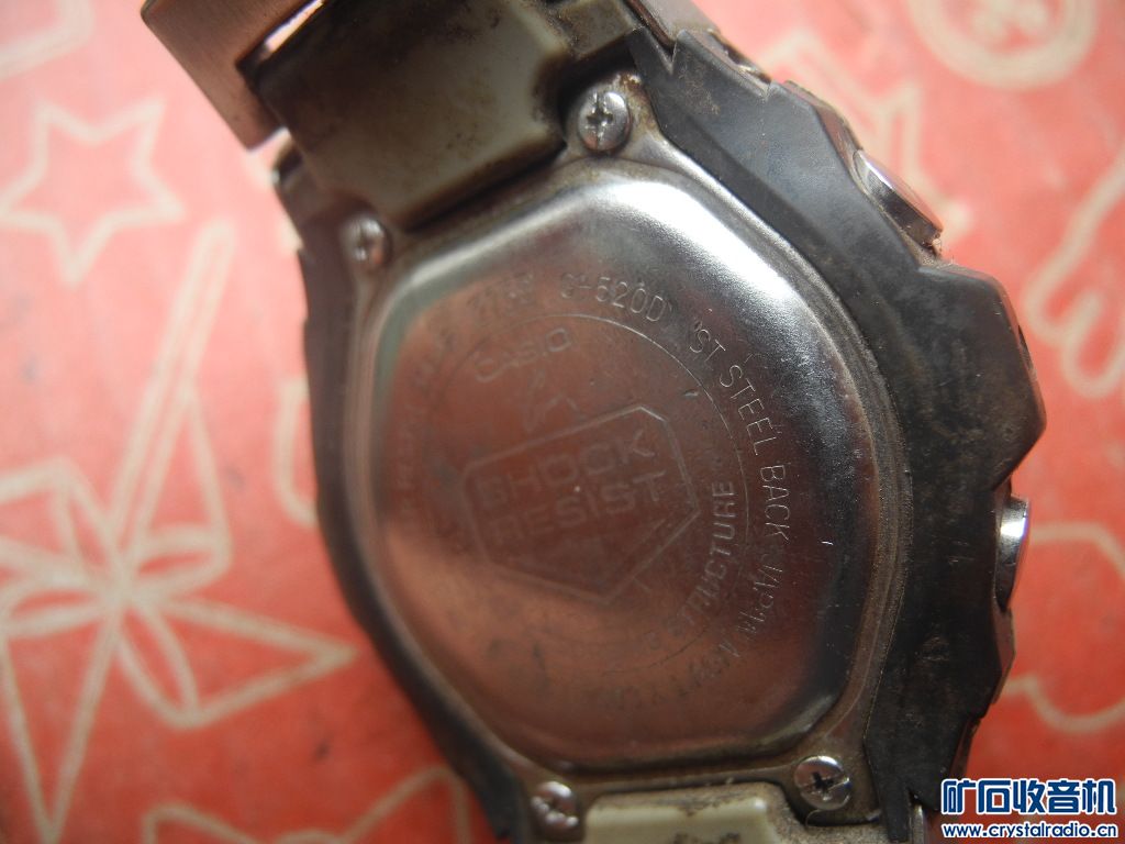 DSCN0613.JPG