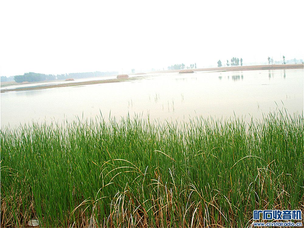 P1010021.jpg