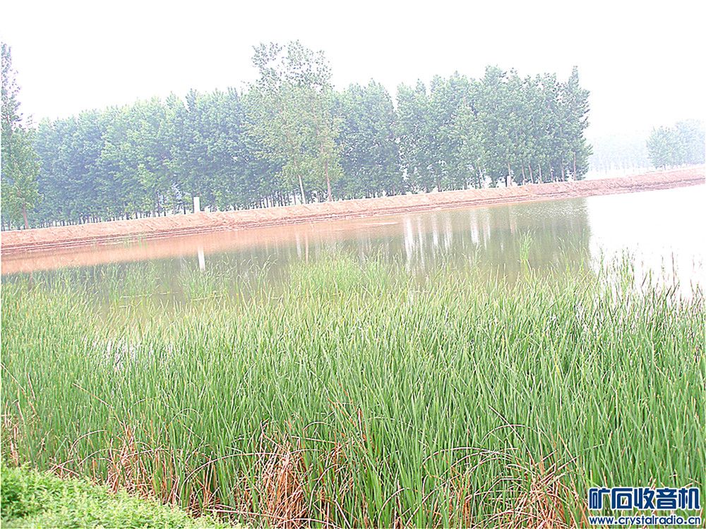P1010037.jpg