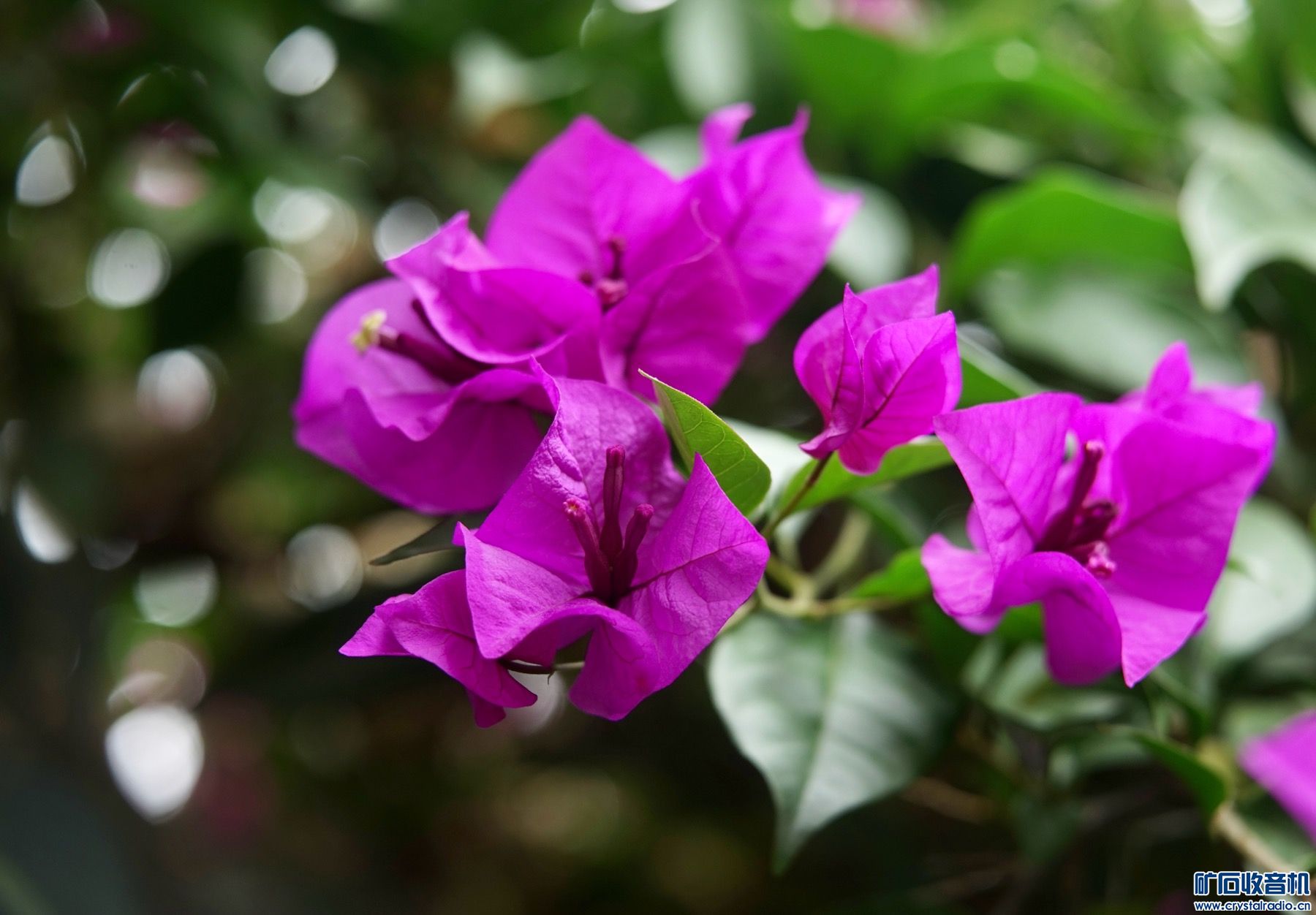 23A84C42-5163-45FA-B43D-907D65933AB9.jpeg