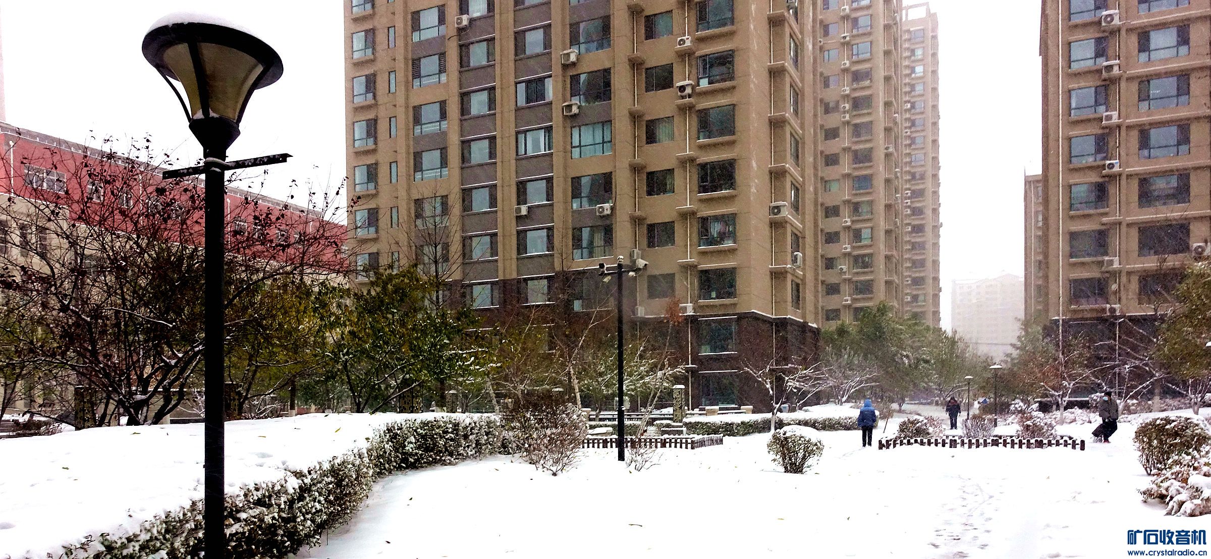DSC08701.jpg