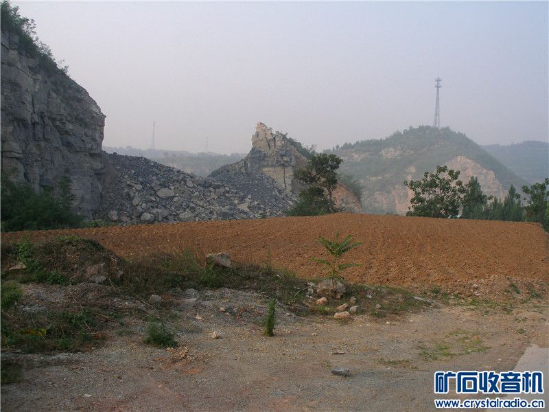 P1010008.jpg