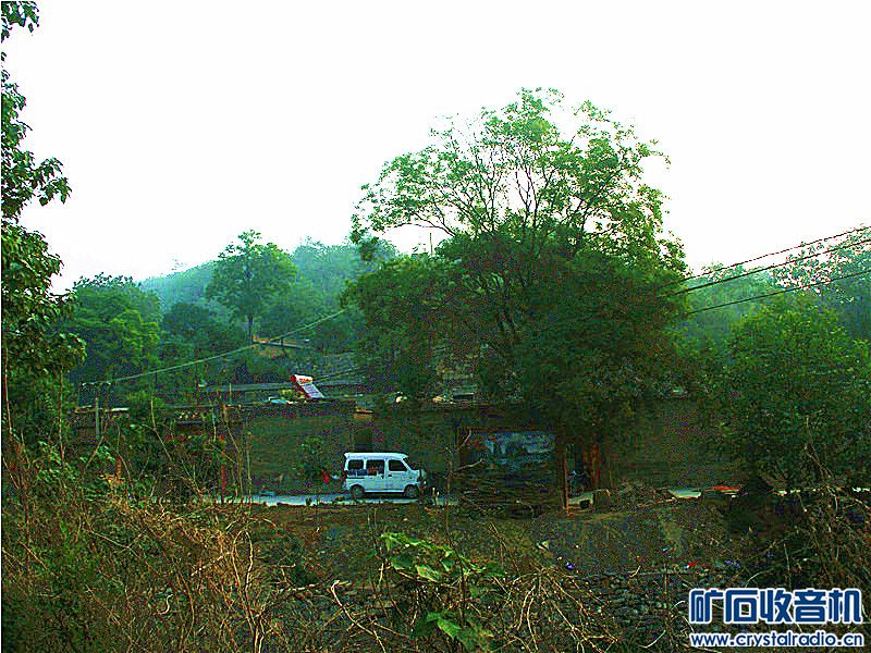 P1010013.jpg