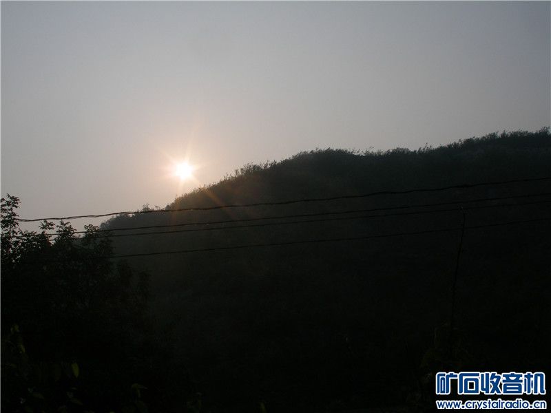 P1010014.jpg