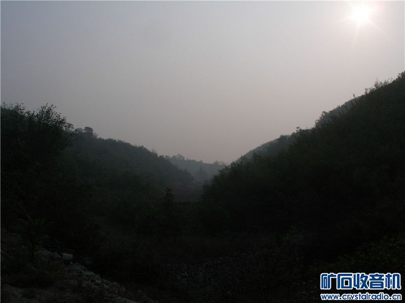 P1010024.jpg