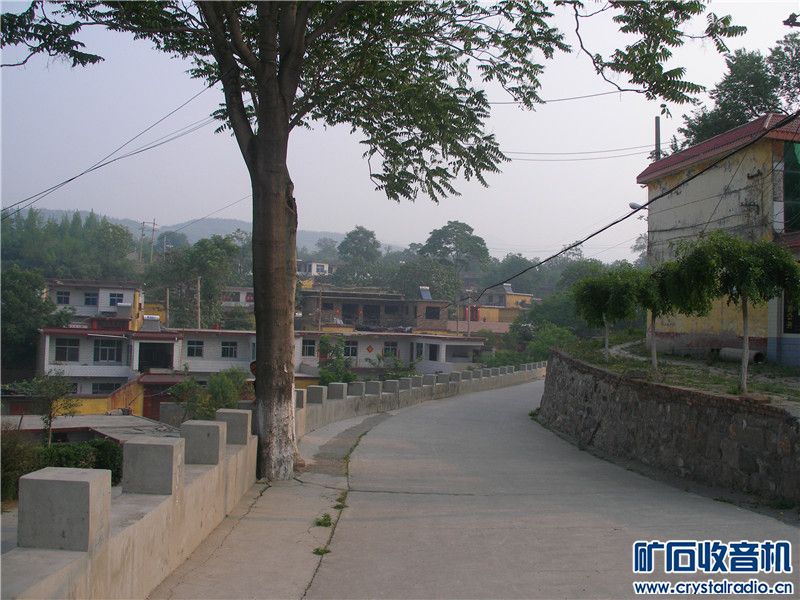 P1010049_.jpg