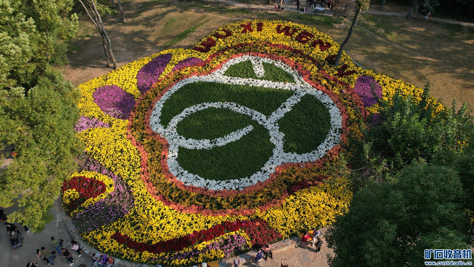 DJI_0907.JPG