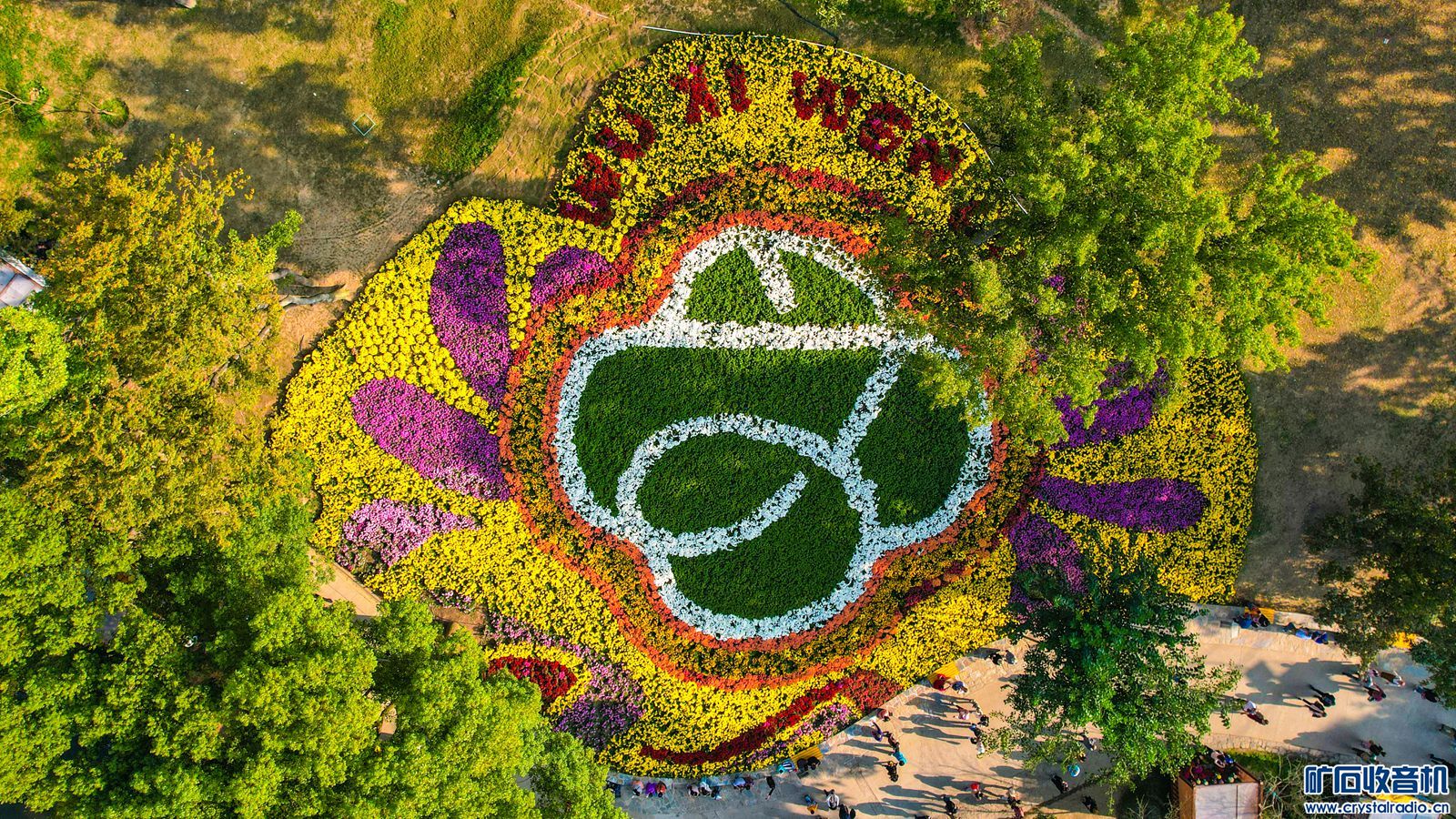 DJI_0909.JPG
