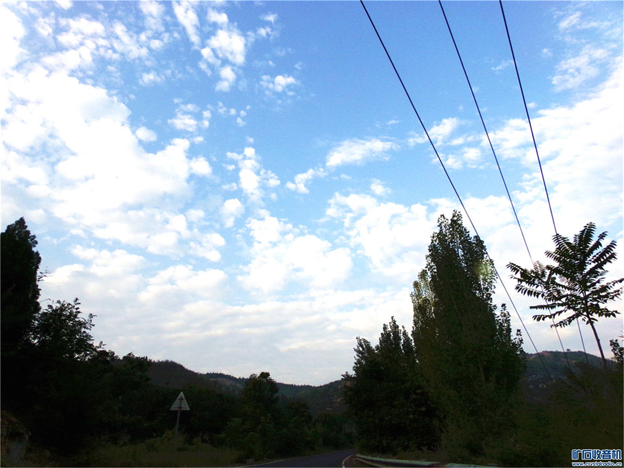 100_6524.JPG