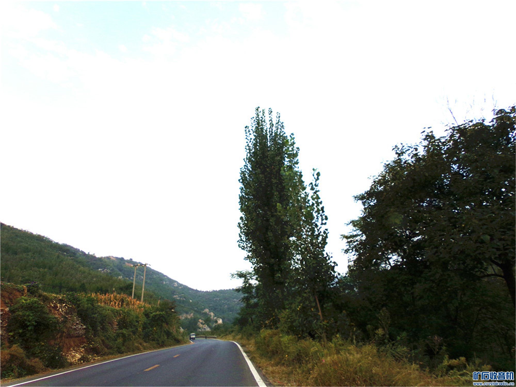 100_6525.JPG