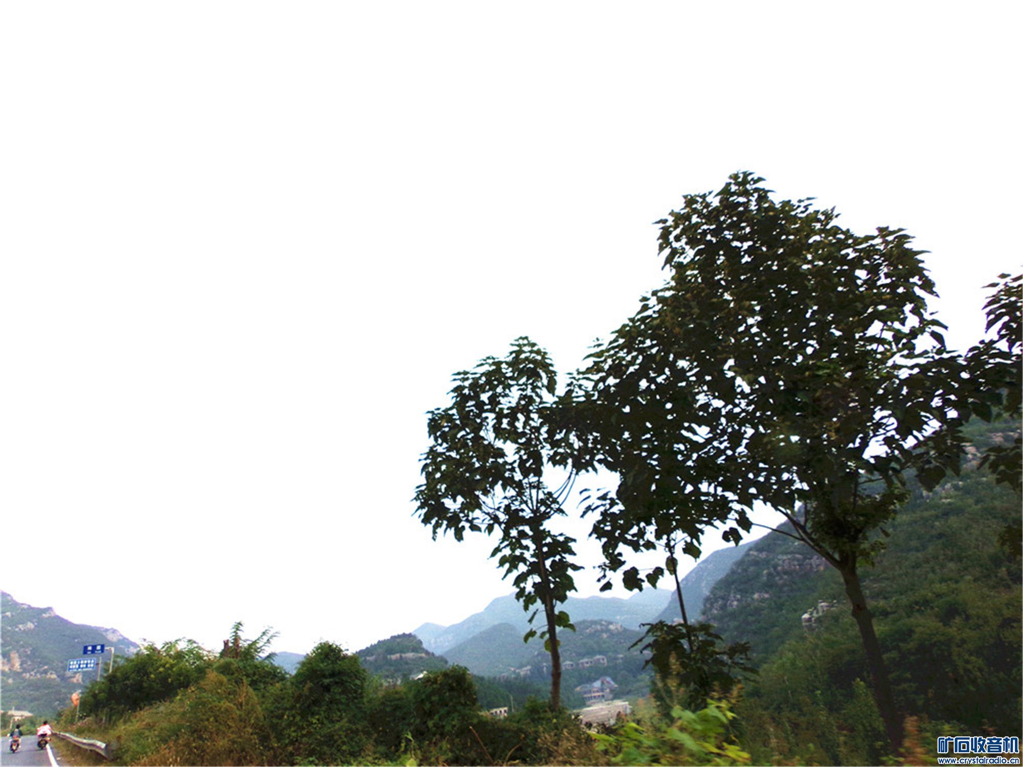 100_6531.JPG