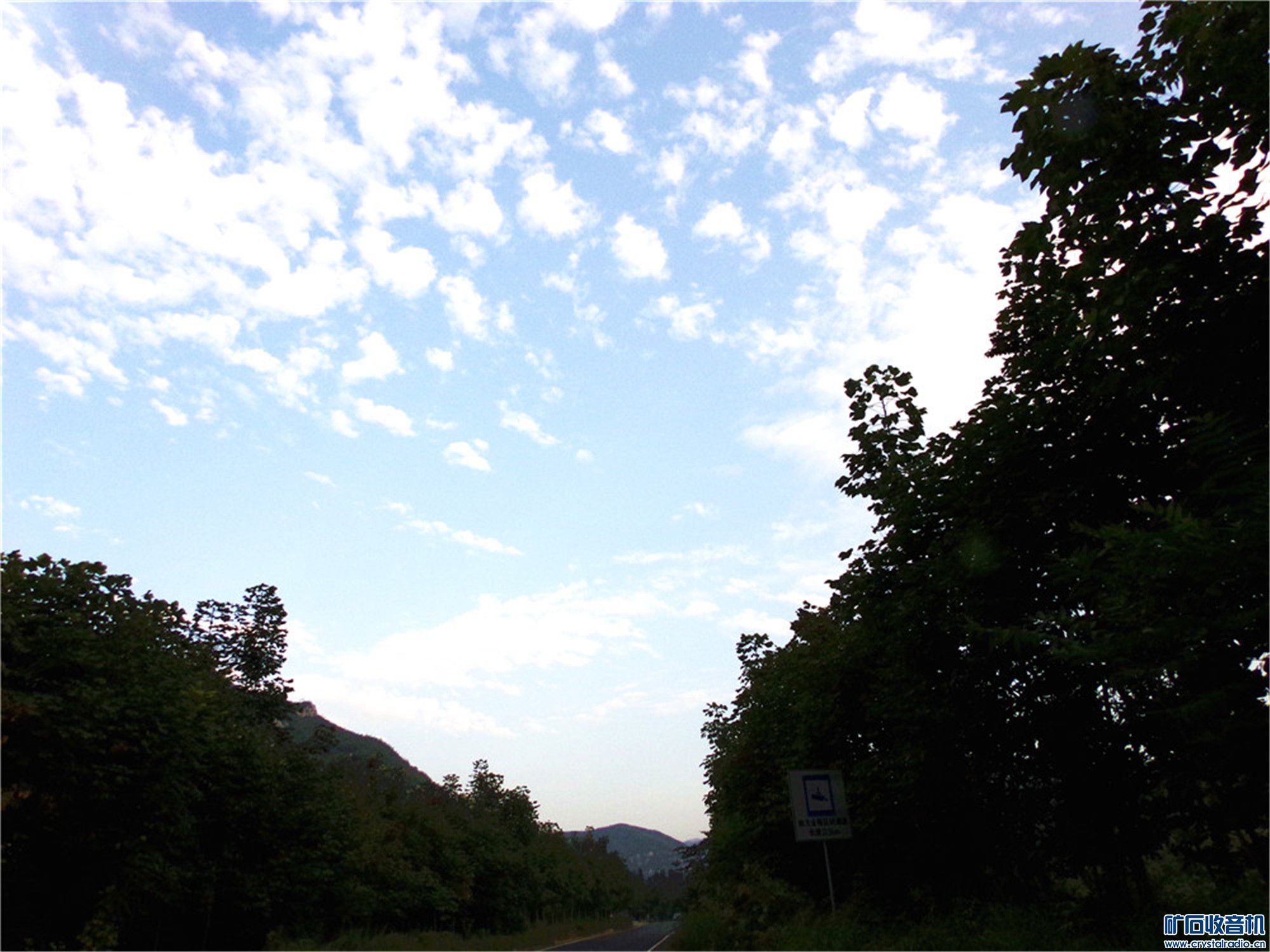 100_6536.JPG