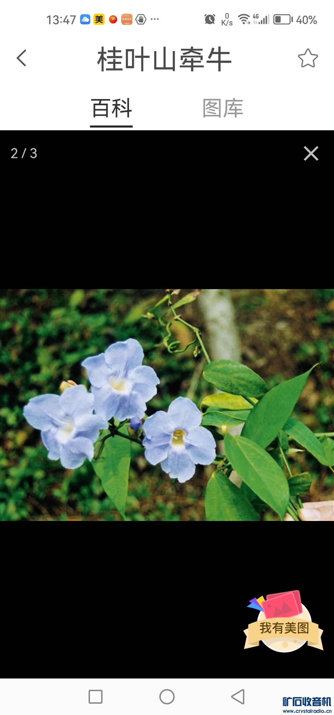 Screenshot_20231114_134708_cn.com.robusoft.flower.jpg