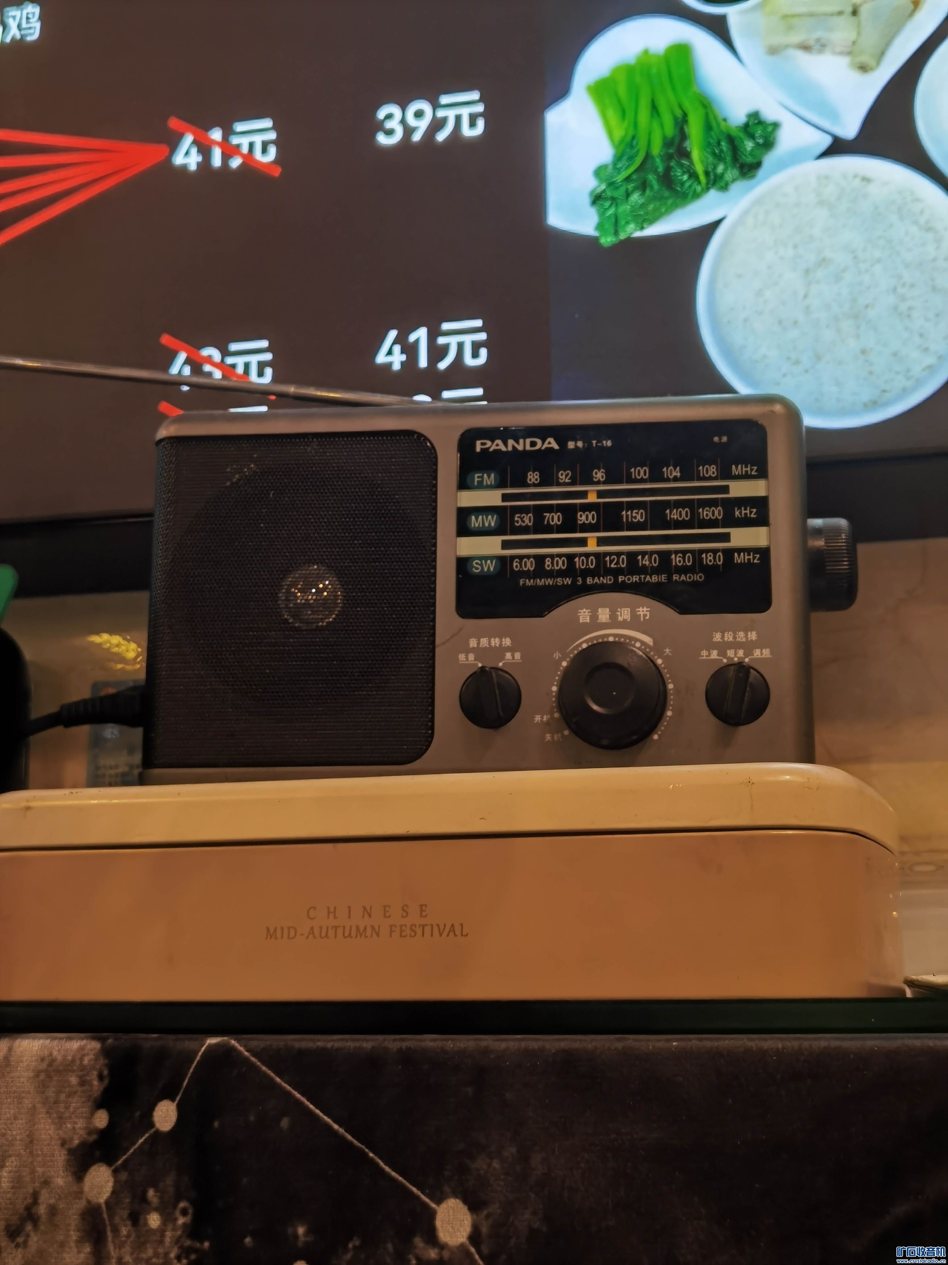 panda.jpg
