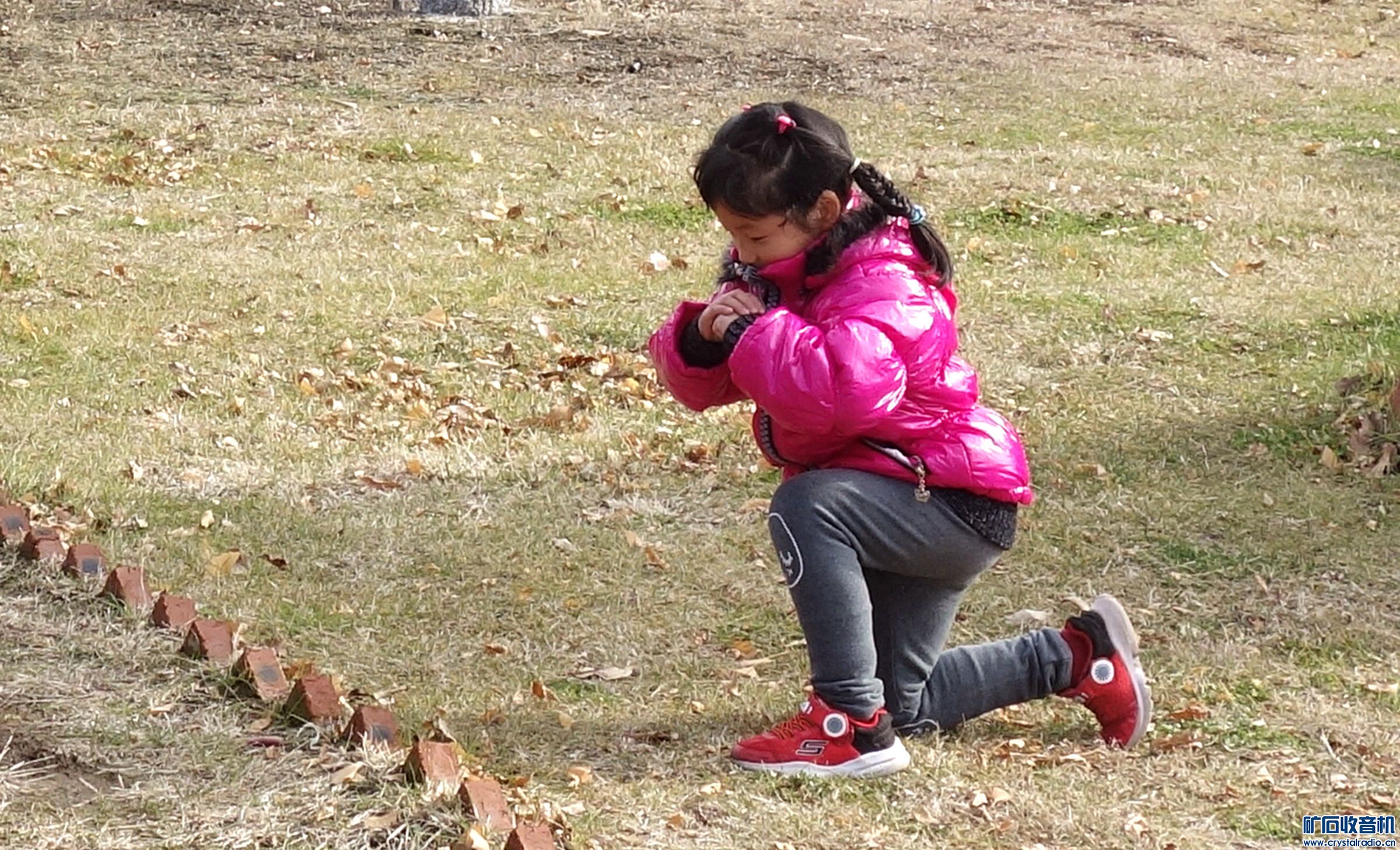 DSC05084.jpg