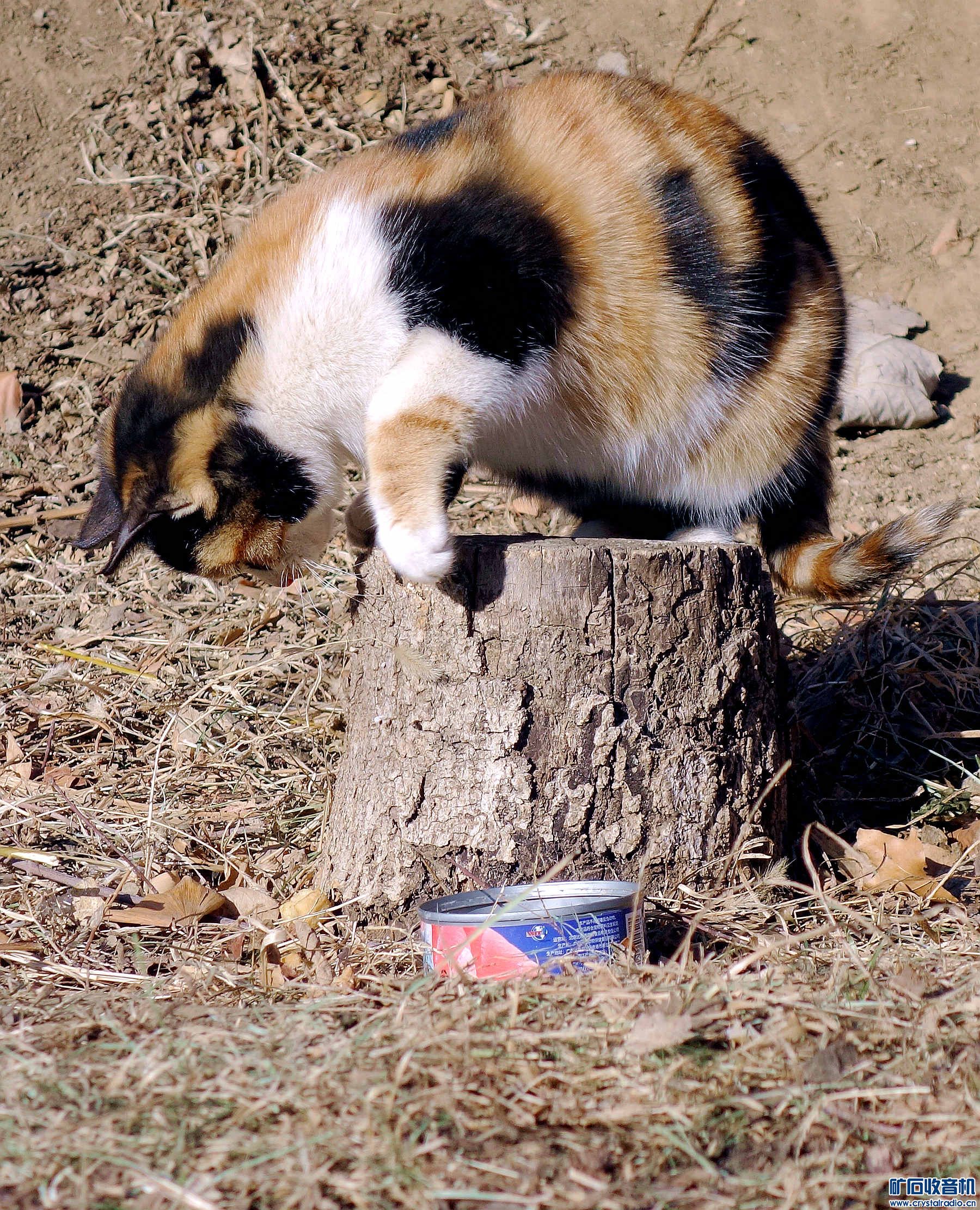 DSC05316.jpg