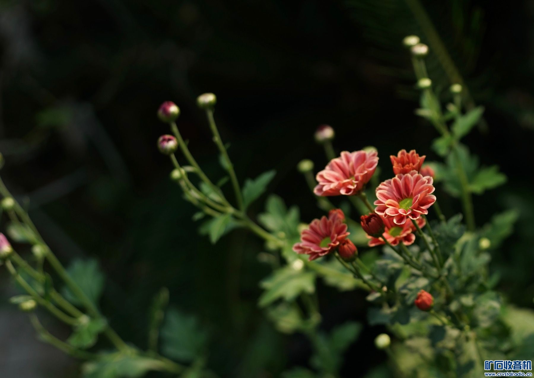 77F3313B-7064-4D36-9A94-02C97F366F02.jpeg