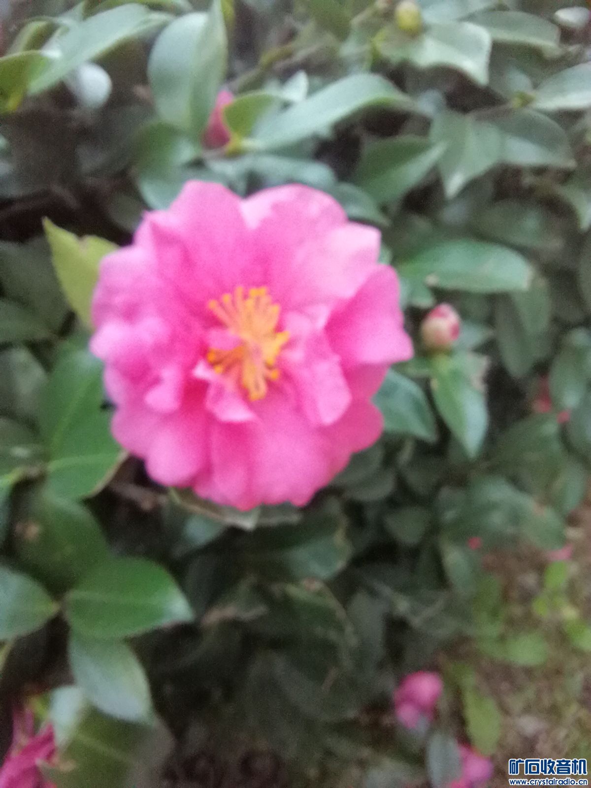 IMG_20231214_083631.jpg