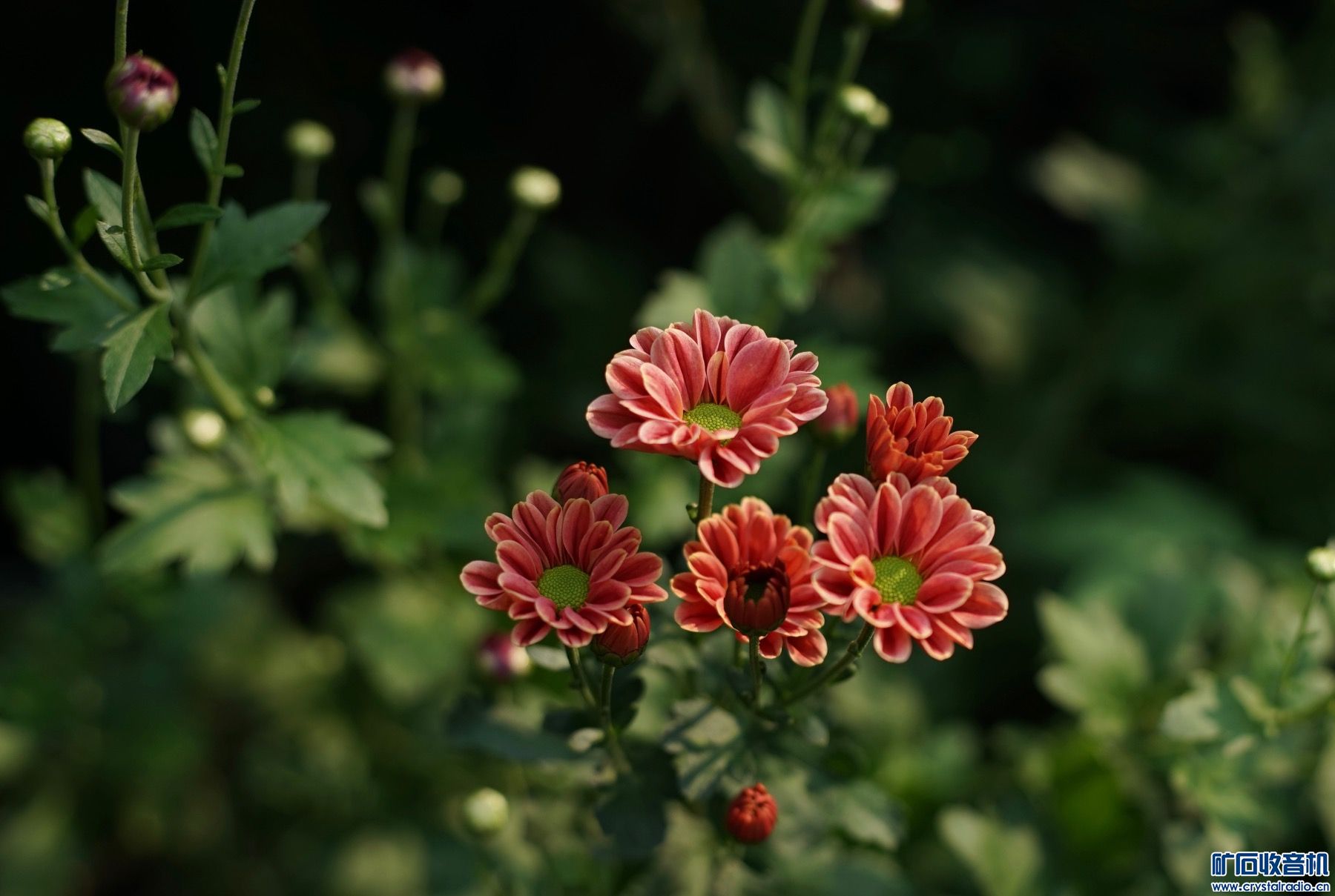 8792D3A3-9F51-4D68-A38F-CBE4A3FB578B.jpeg