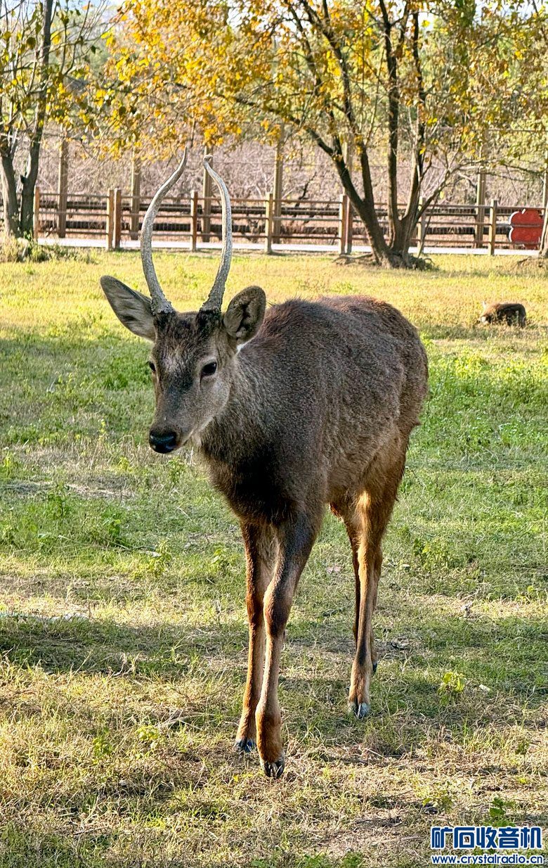 6ac8.jpg