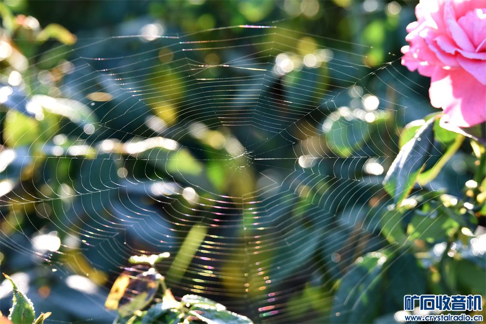 DSC_2283_.jpg