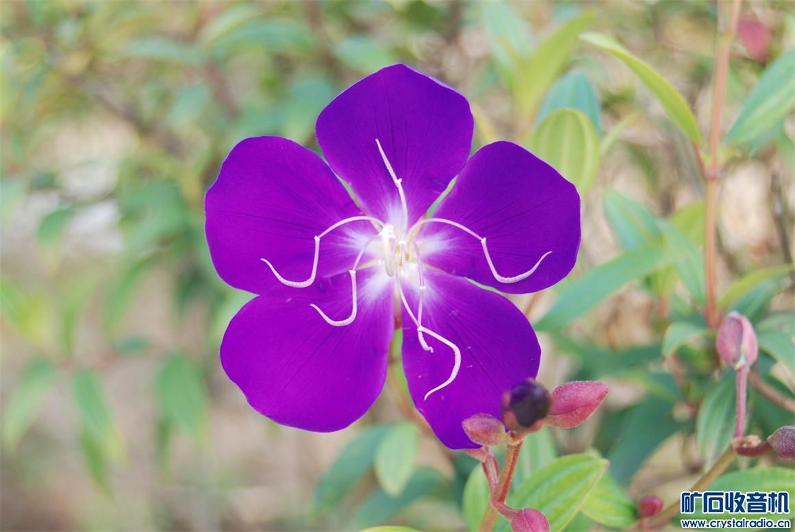 DSC_8960.JPG