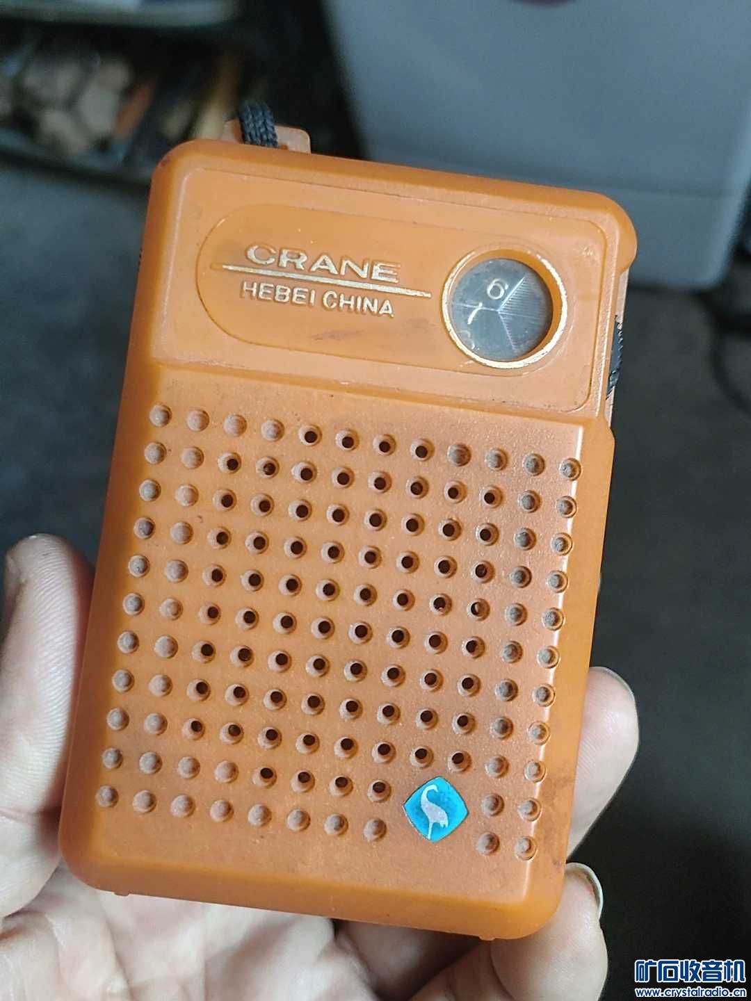 1703726033962.jpg