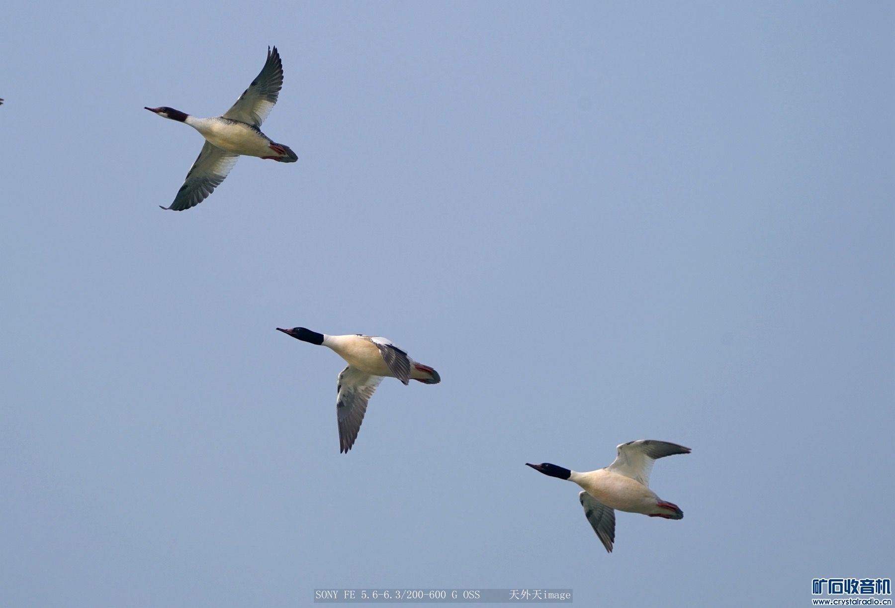 CF06F254-AB72-4F95-9CB9-0F1EF65CA1F7.jpeg