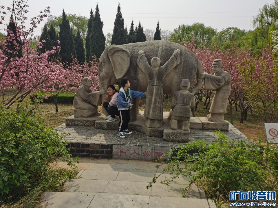 Image_1705016929173.jpg