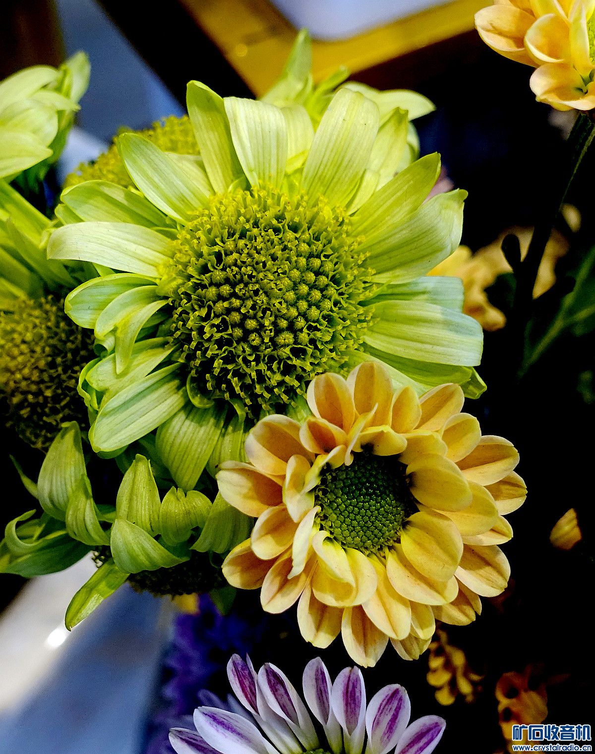 DSC09177.jpg