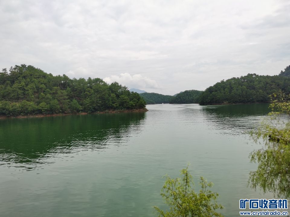 Image_1705202595014.jpg