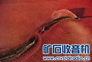 cf566d36aaa21d6d.jpg