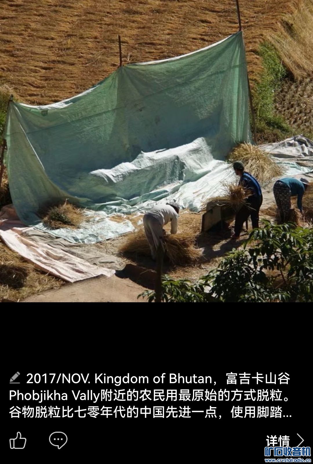 Screenshot_20240122_110012_com.qzone_edit_1406797161200963.jpg