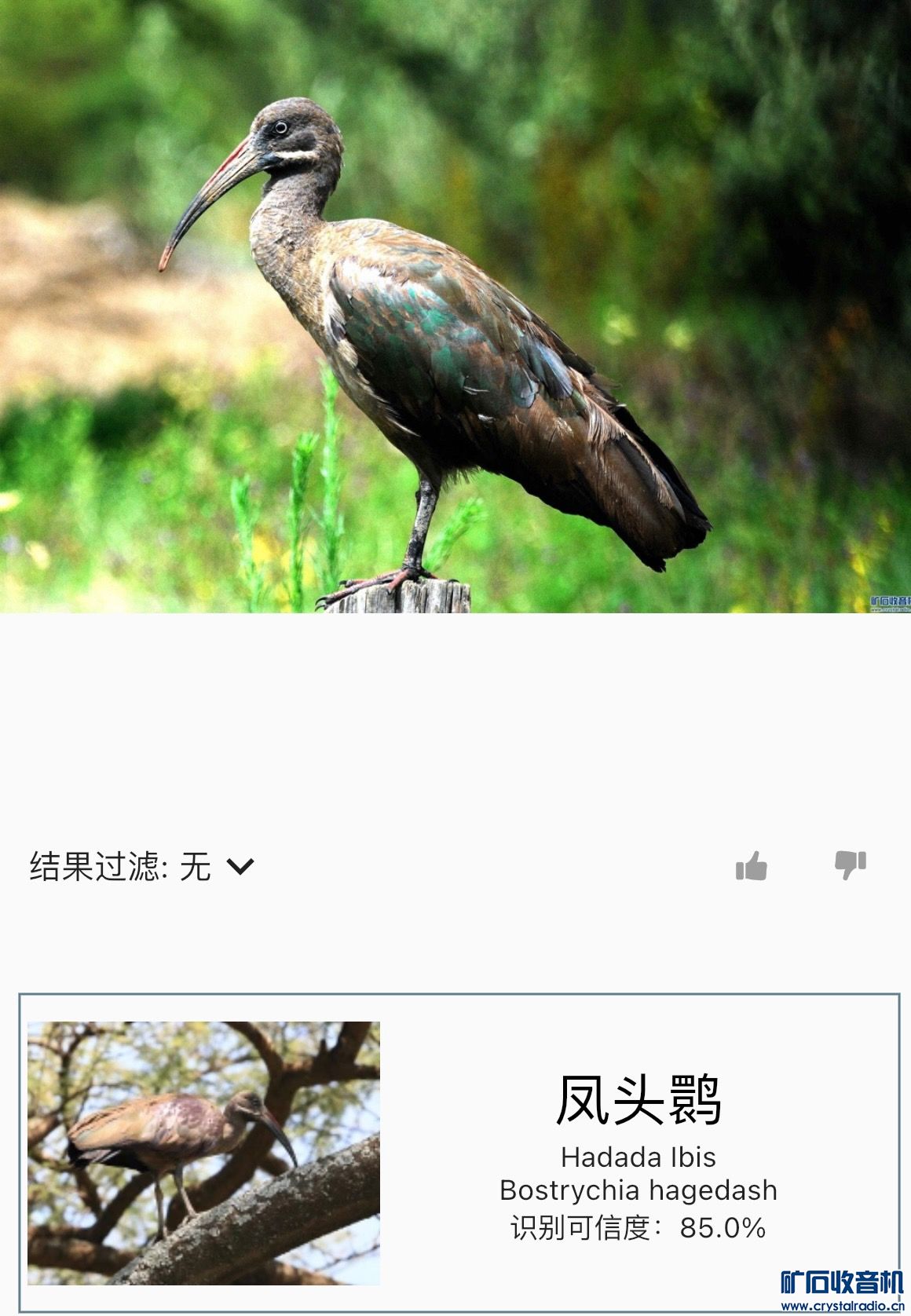 F4B7486D-8961-4C9F-8095-F82409D6A3AC.jpeg