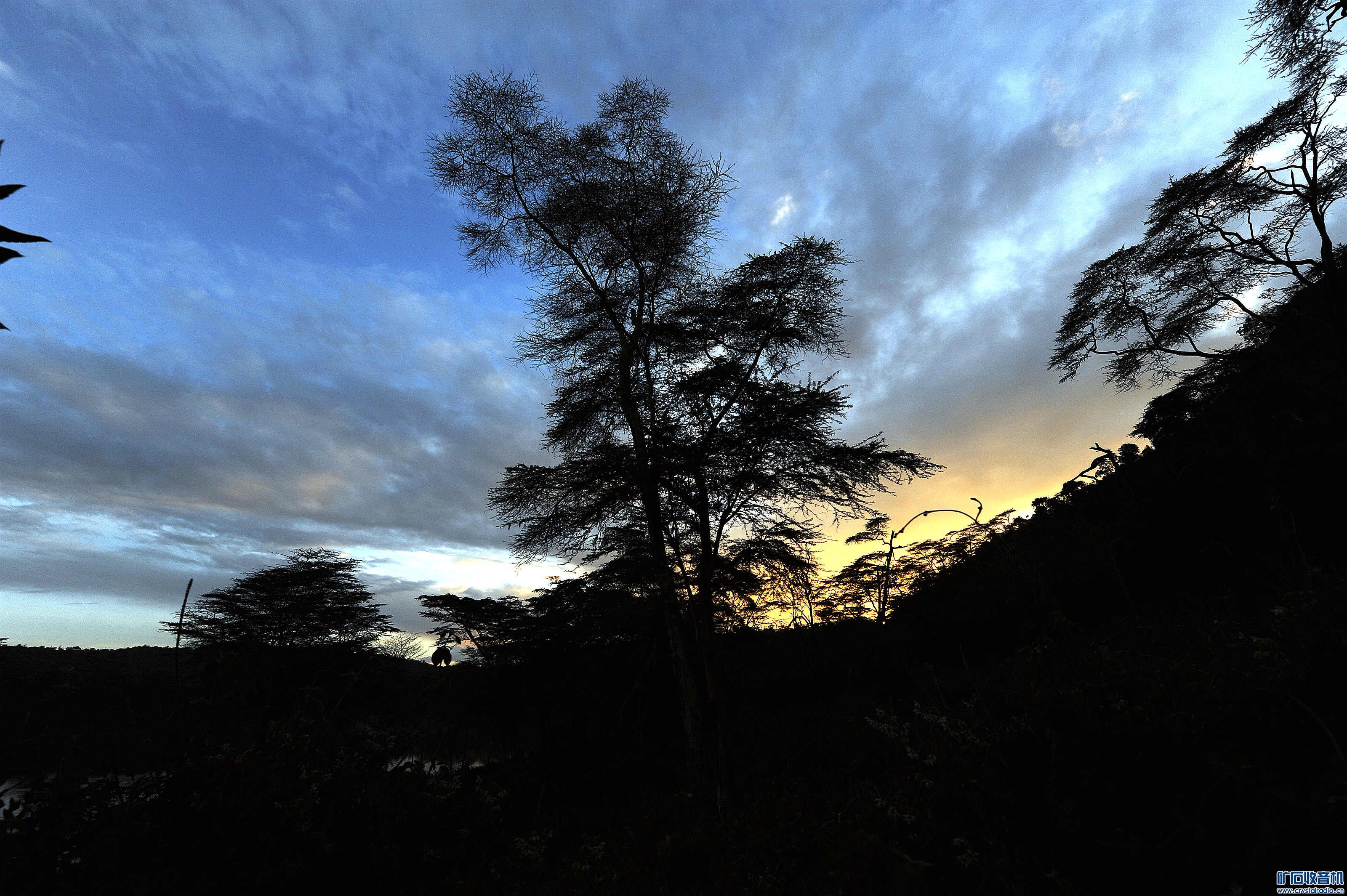 20121125@12.jpg