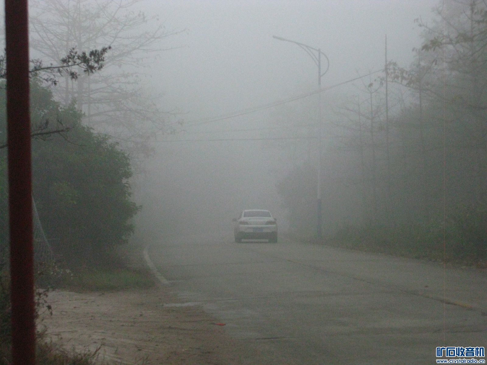 mmexport1703980522208.jpg
