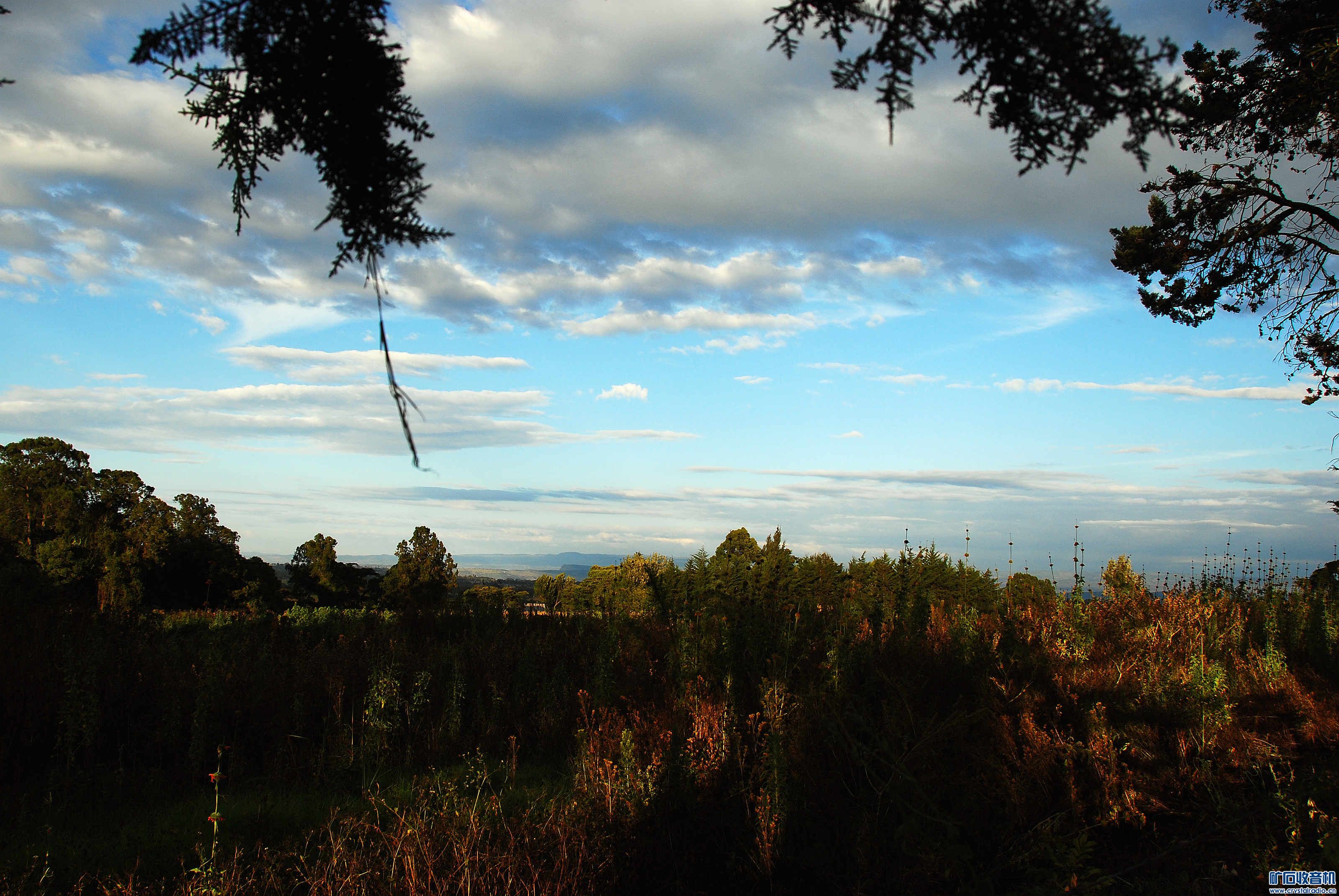 dsc_0001_@22.jpg