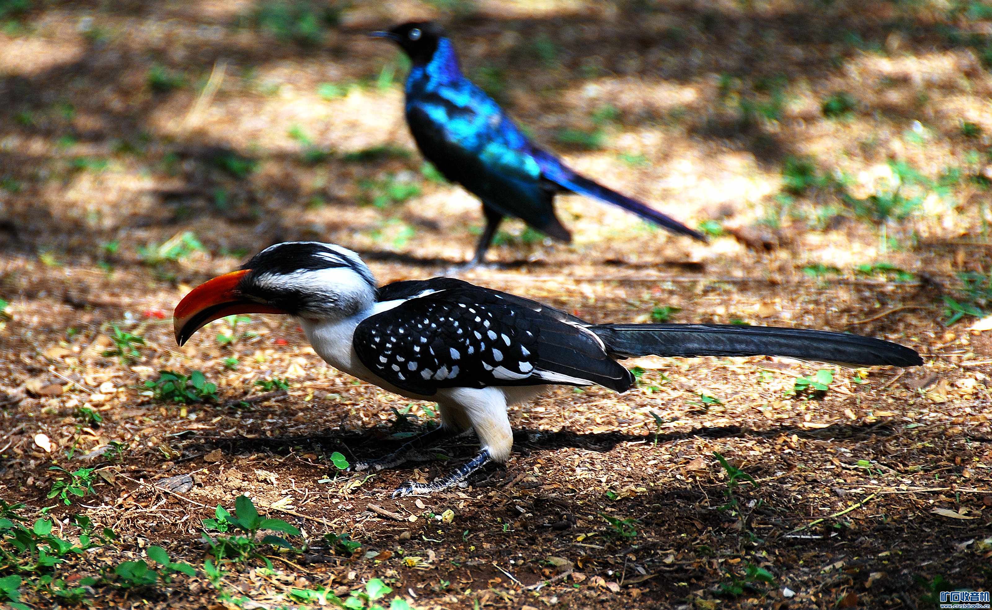 dsc_5947_@03.jpg