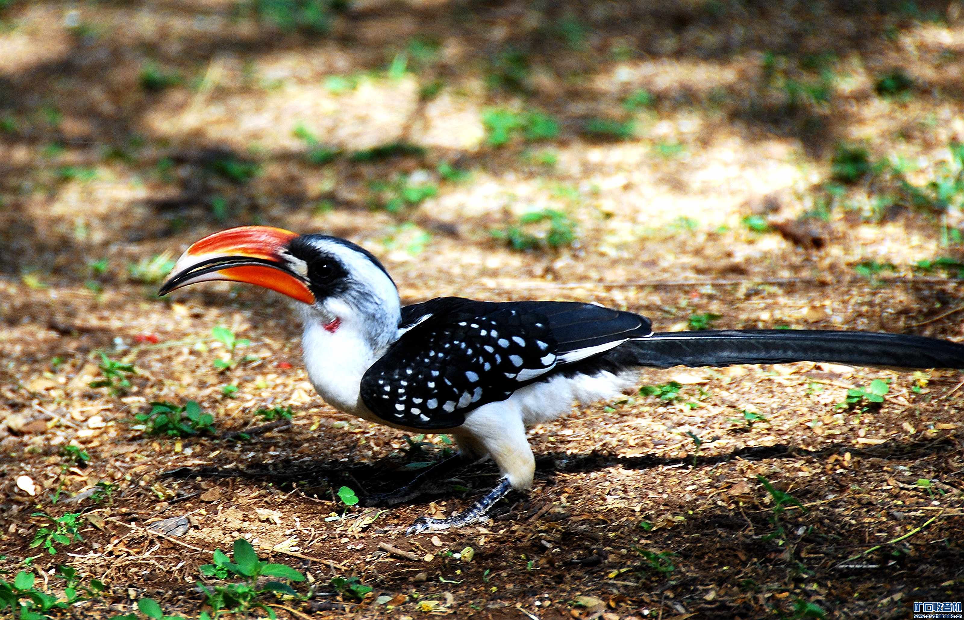 dsc_5947_@05.jpg