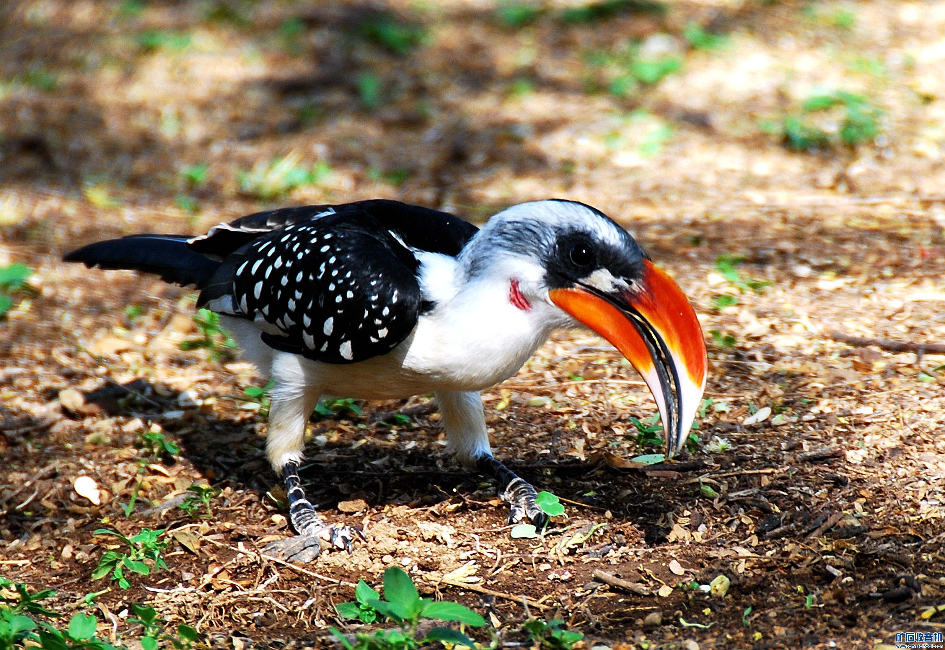 dsc_5947_@07.jpg