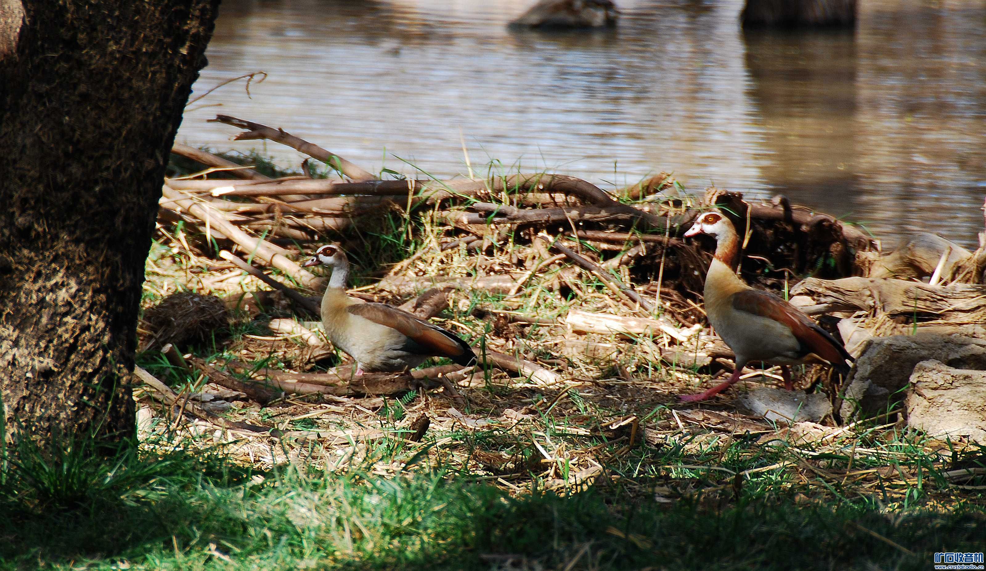 dsc_5947_@10.jpg