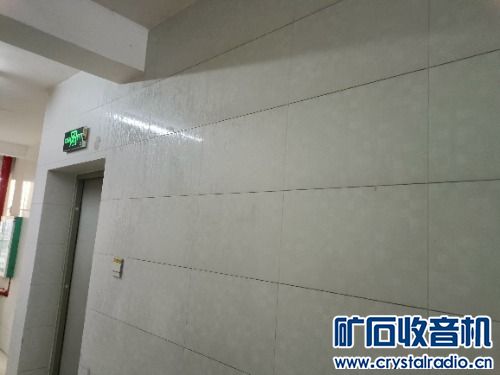 IMG20240203180600.jpg