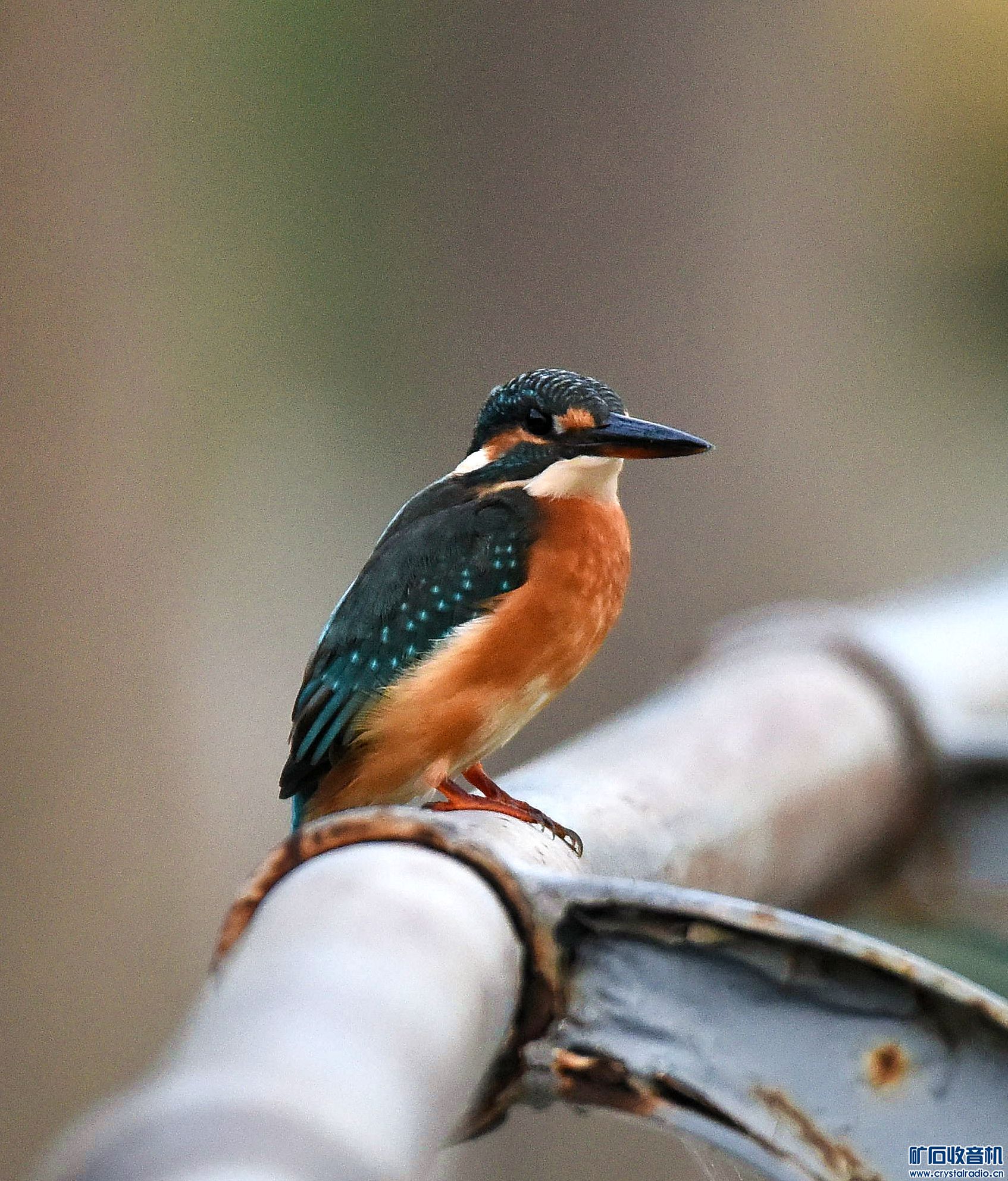 DSC_1430_.jpg