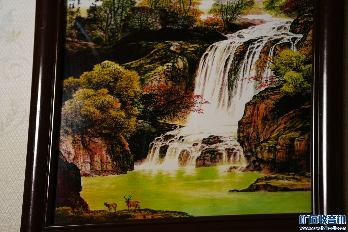DSC09823-S.JPG