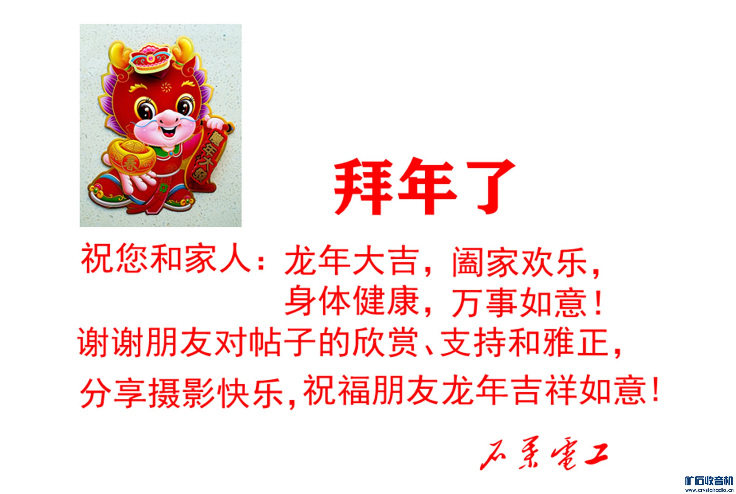DSC09398c.jpg