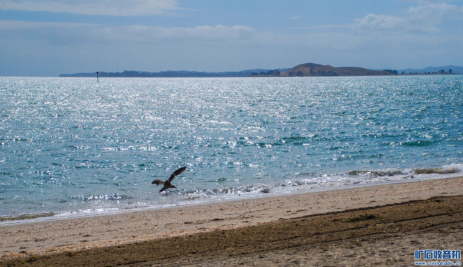 DSC_0089.JPG