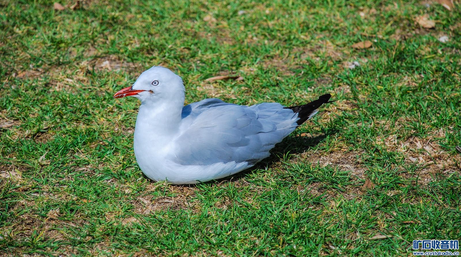 DSC_0105.JPG